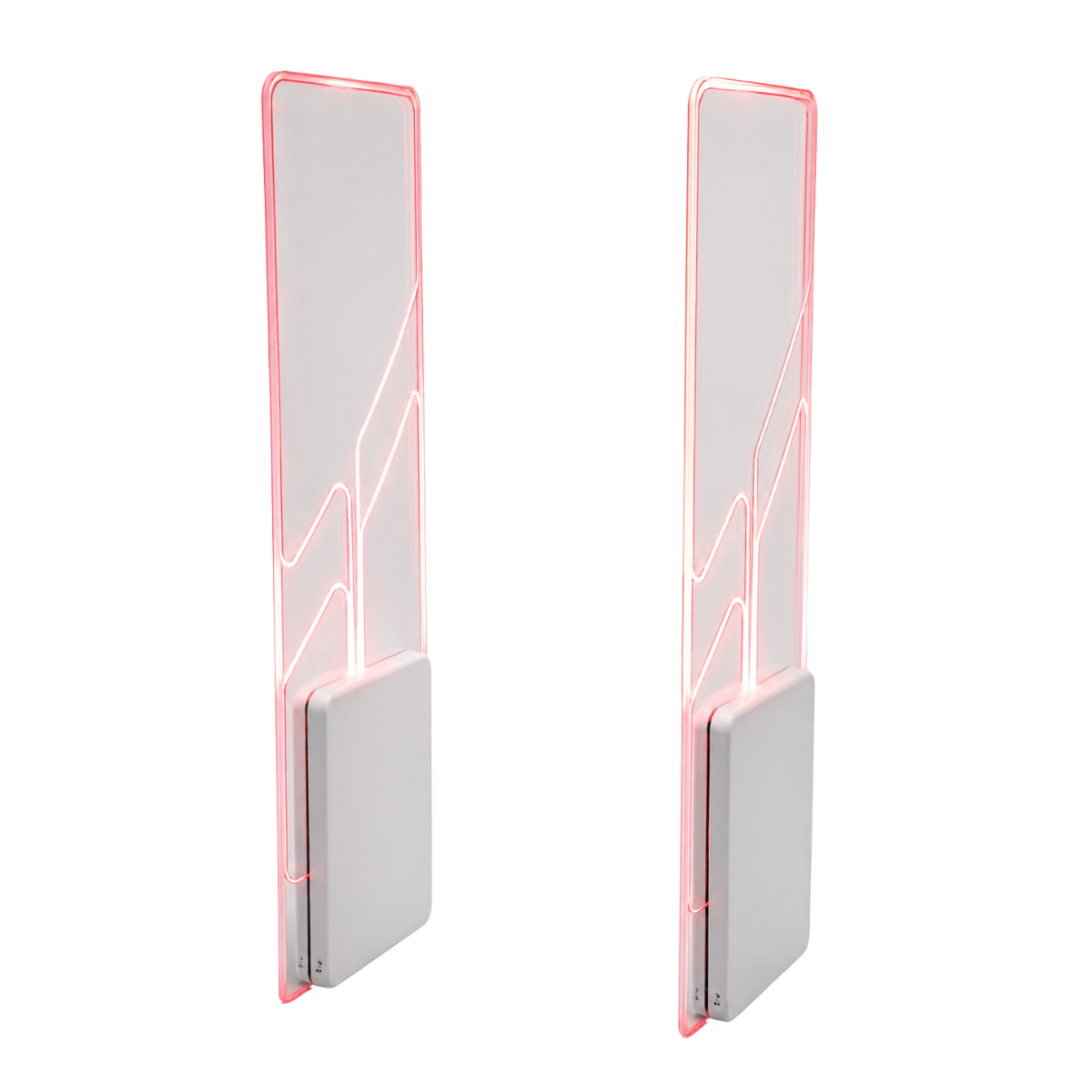RFID Security Gate